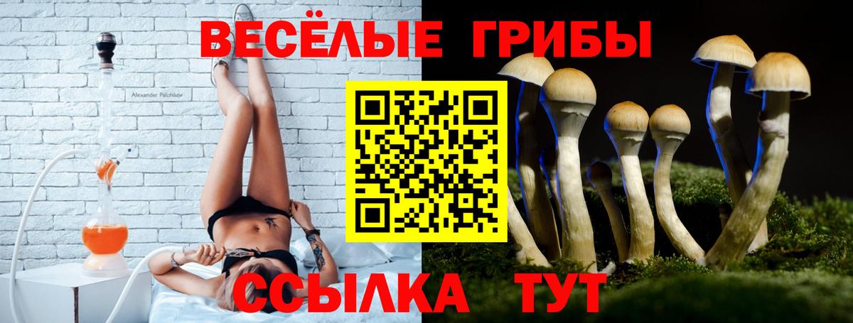 Галлюциногенные грибы Cubensis  Вход с VPN  Энгельс  закладки  Галлюциногенные грибы ЛСД 