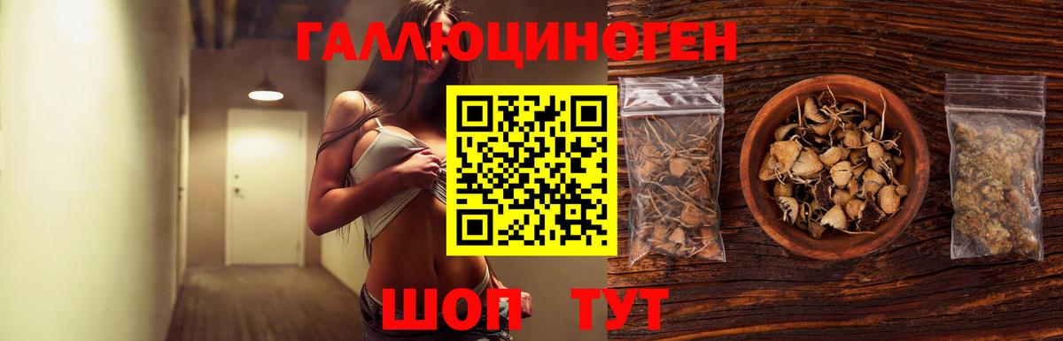 Псилоцибиновые грибы MAGIC MUSHROOMS Энгельс